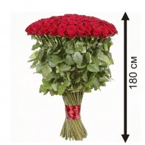 51 гигантская роза 180 см